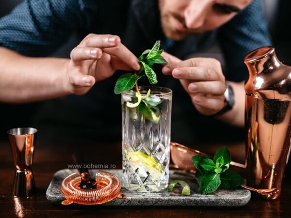 PAHARE APA/ LONGDRINK 380 ML COLECTIA SHEFFIELD