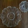 Serviciu tort cristal Bohemia Plantica