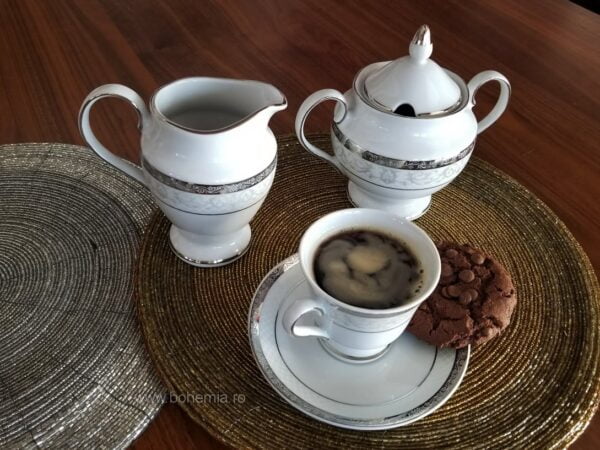 cesti cafea portelan