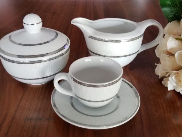 cesti cafea portelan
