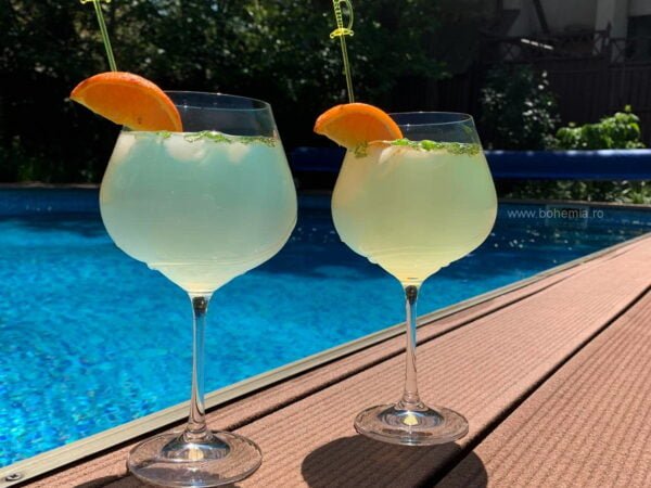 pahare vin cristal Bohemia