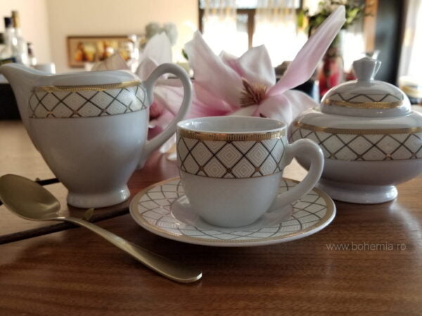 cesti cafea portelan