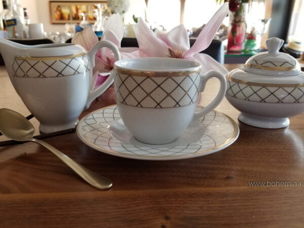 cesti cafea portelan