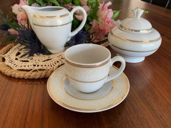 cesti cafea portelan