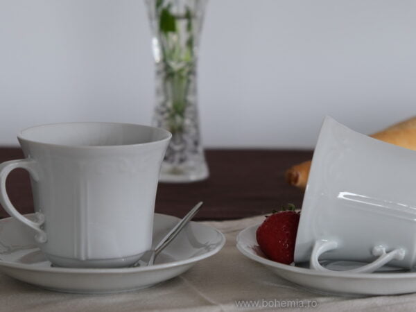 cesti cafea portelan