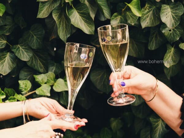 pahare cristal vin