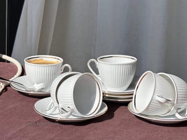 cesti cafea portelan